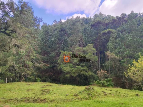 Imagem Sítio à venda, 60500 m² por R$ 905.000 - Bom Jardim - Camanducaia/MG