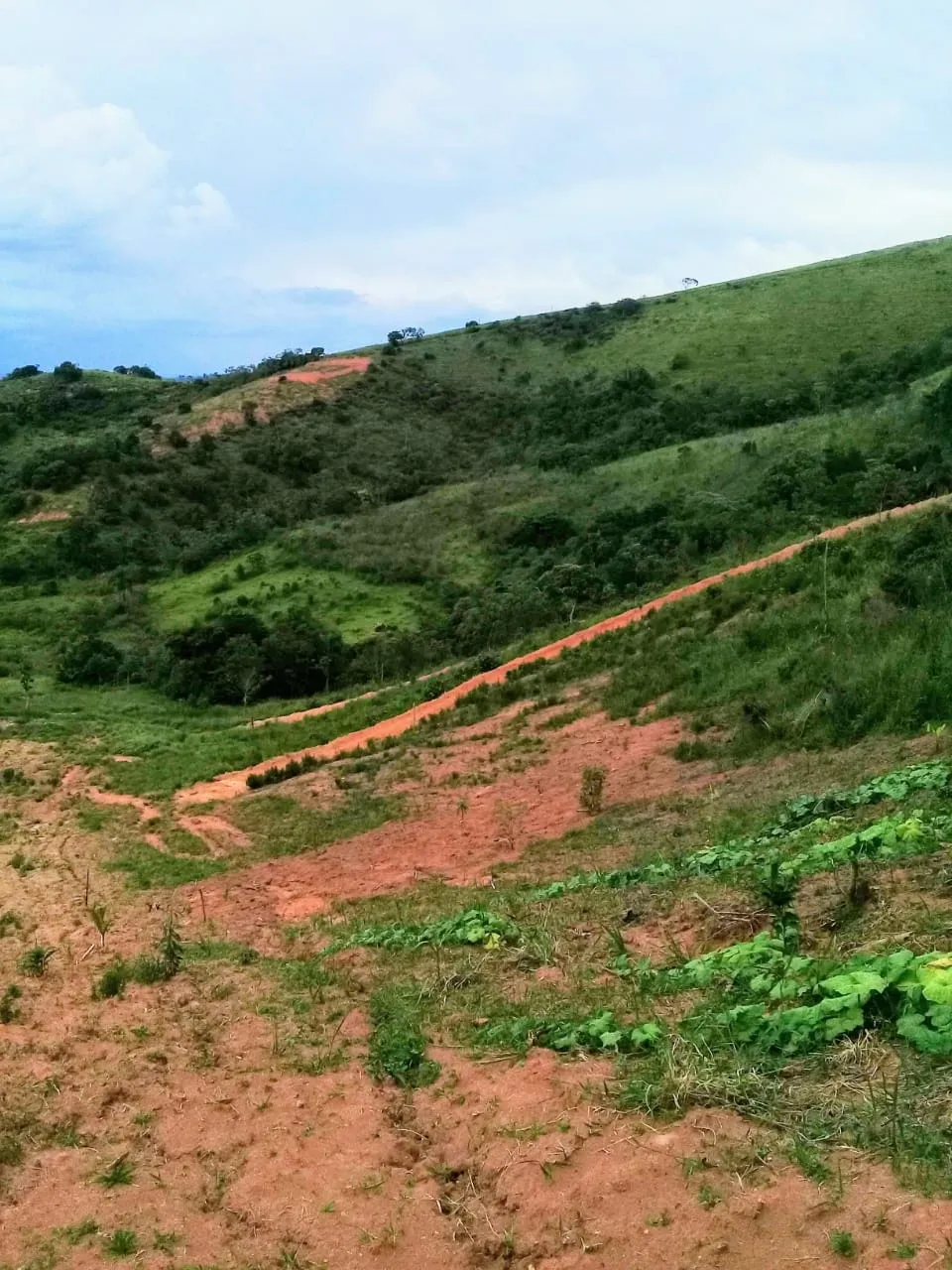 Imagem Chácara à venda 20000M², Mandú, Pindamonhangaba - SP