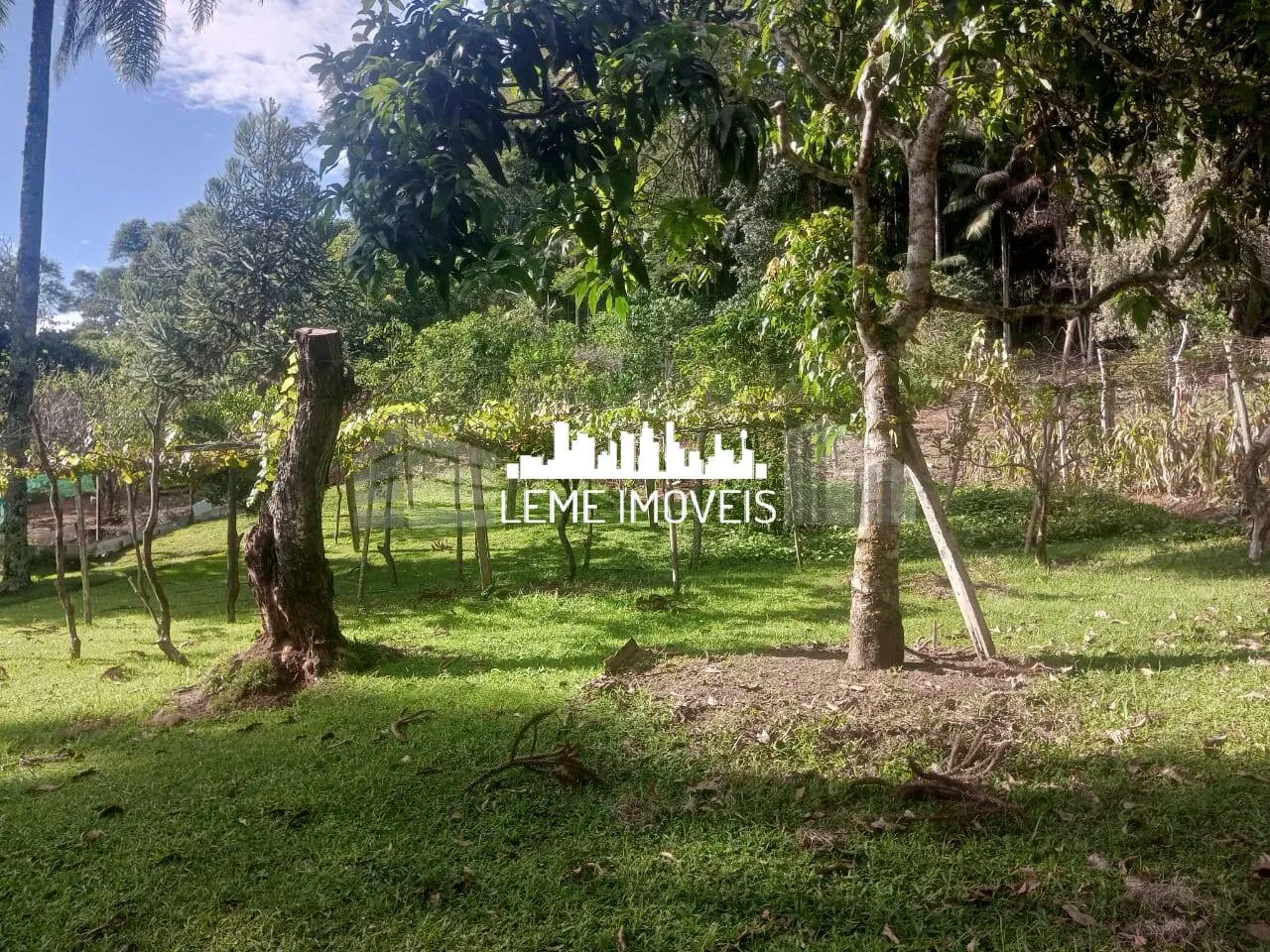 Imagem LINDO SITIO RICO EM ÁGUA MEDINDO 140,00 MIL METROS!!!