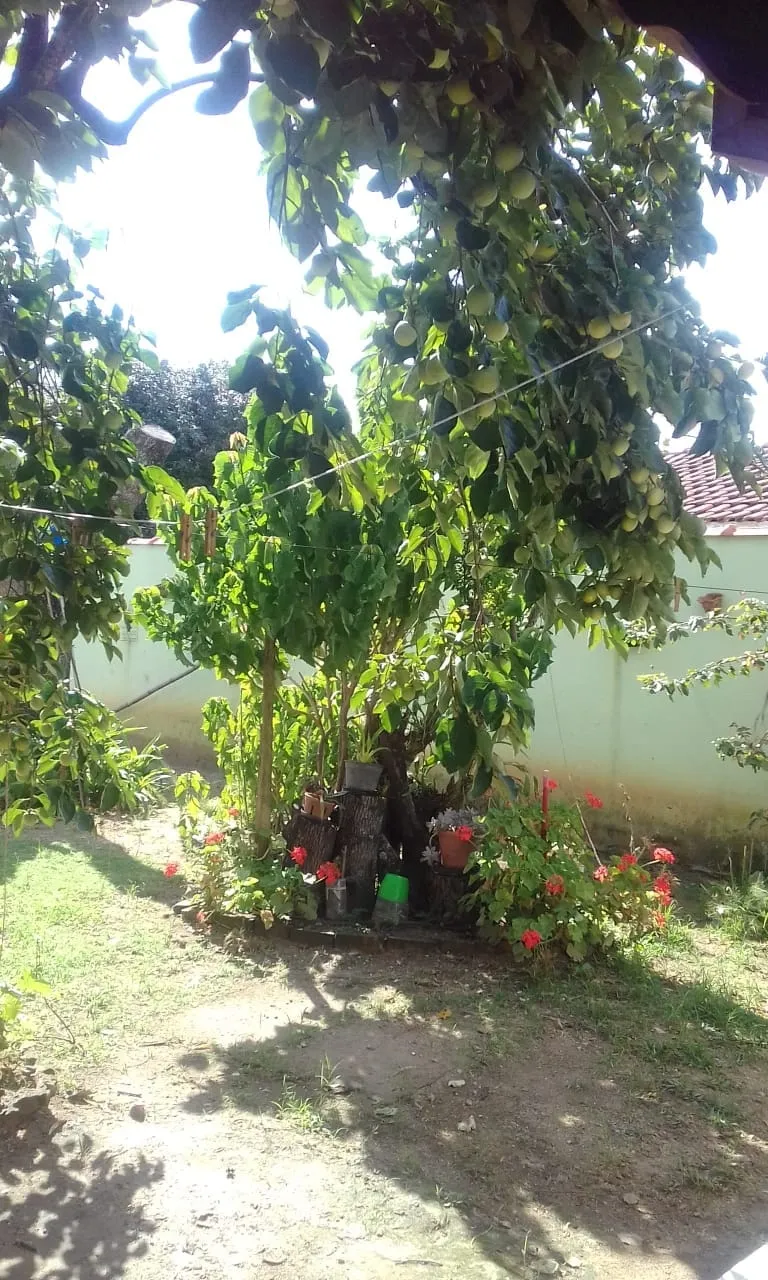 Imagem Casa à venda 3 Quartos, 1 Vaga, 356.5M², Loteamento João Tamborindeguy Fernandes, Pindamonhangaba - SP
