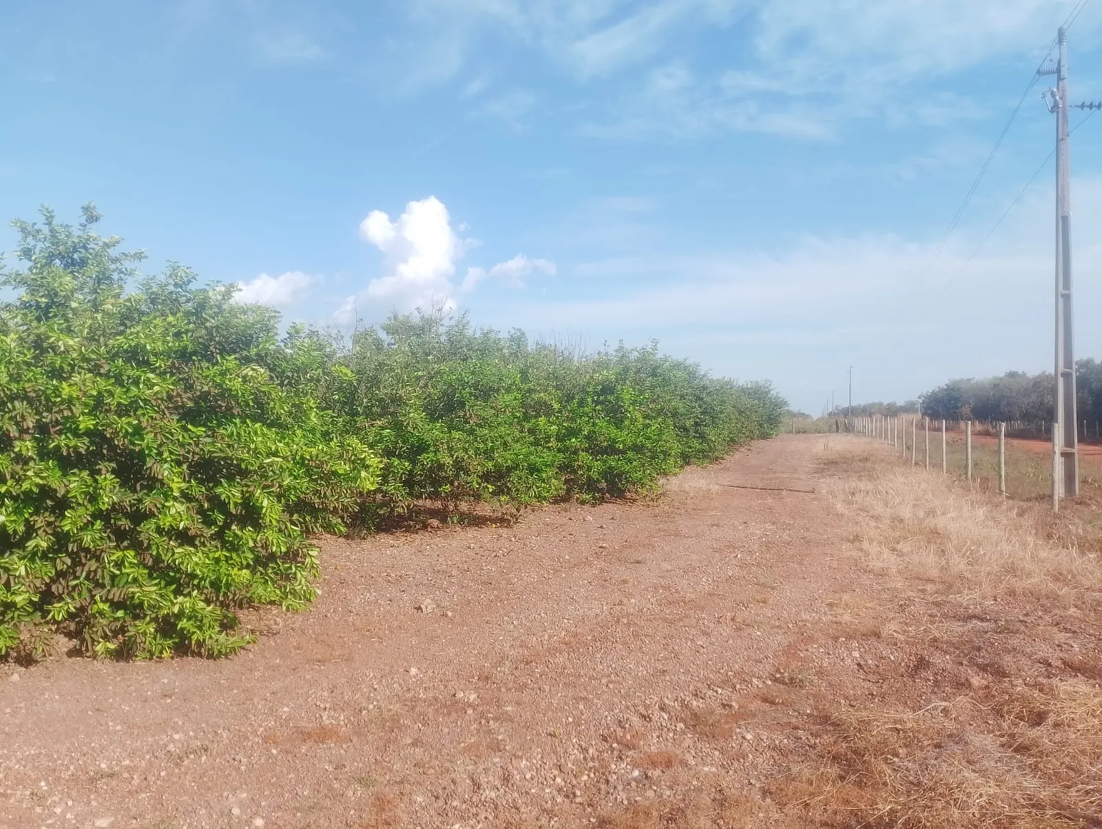 Imagem Fazenda 10km do Bairro Pedra 90