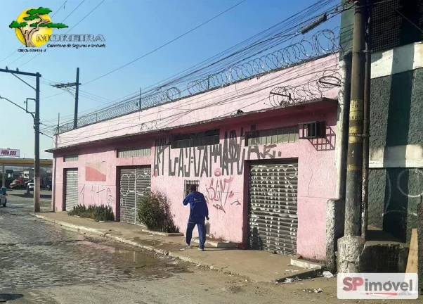 Imagem PREDIO COMERCIAL FRENTE FERNAO DIAS COM 162M² NA VILA GALVAO