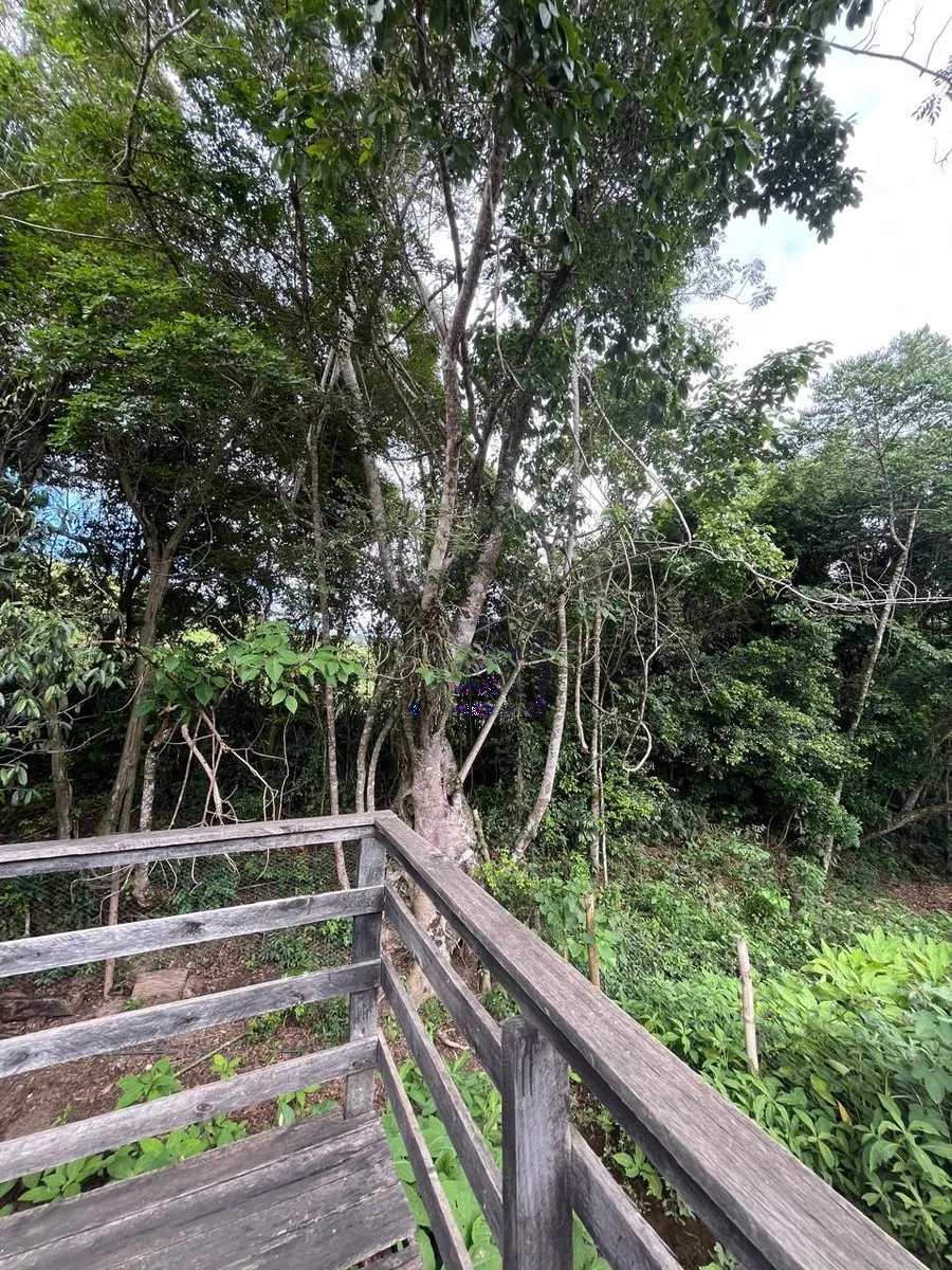 Imagem Chácara 720 m² à venda em Centro, Bandeira do Sul