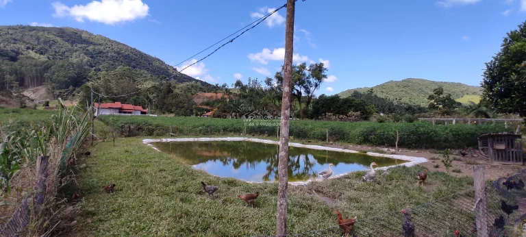 Imagem Sítio a venda, Com casa e lagoa de peixes, e riacho atravessado o terreno a 300 metros da SC 108. Boa área de 4.000m² de plantio com terra boa,