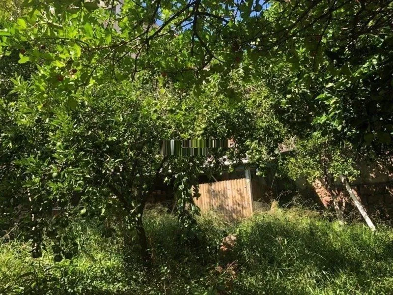 Imagem Terreno amplo com 8,80m²x63,50m² de área total, excelente localização no Bairro Petrópolis