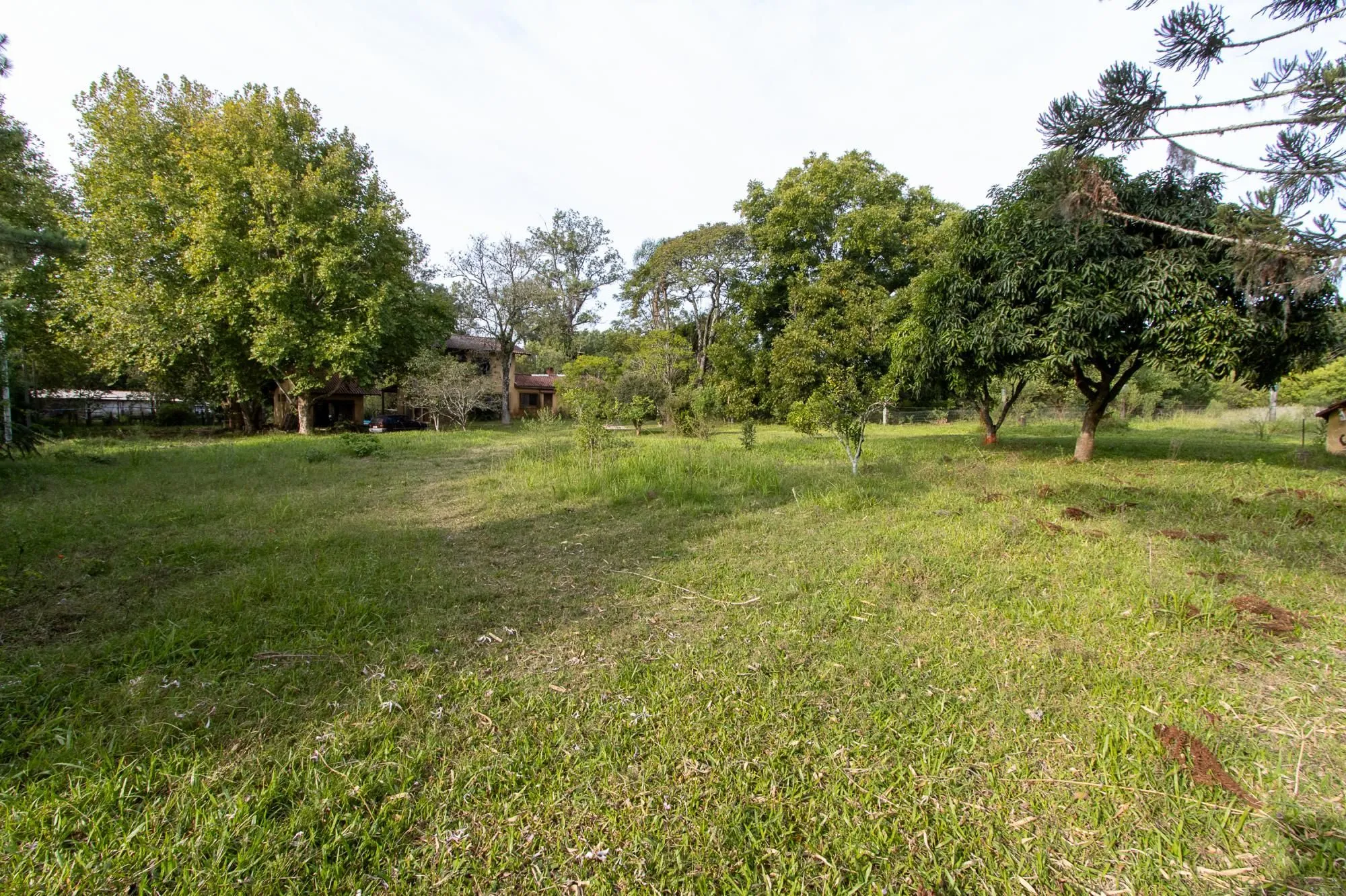 Imagem Área medindo 33.426m²!
