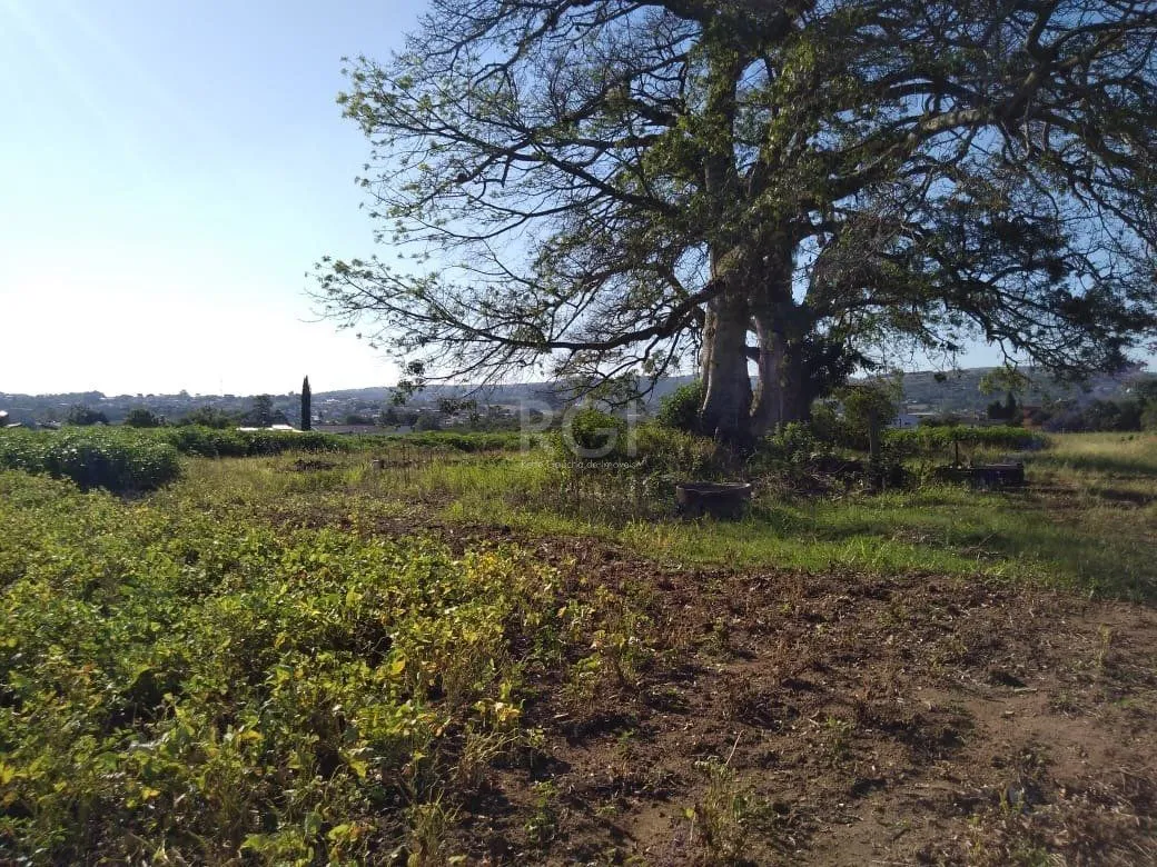 Imagem Area para Venda - 36.900m² - Campo Novo