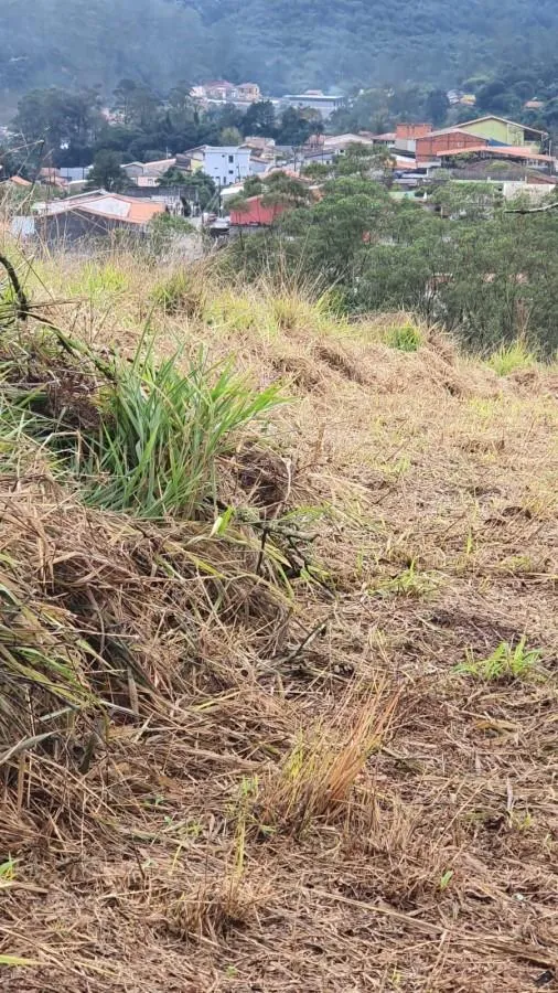 Imagem Terreno para Venda em Ribeirão Pires / SP no bairro Quarta Divisão