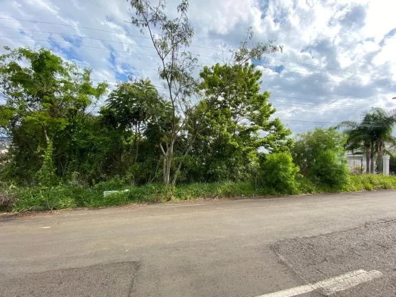 Imagem Terreno para Venda em Concórdia, Jardim