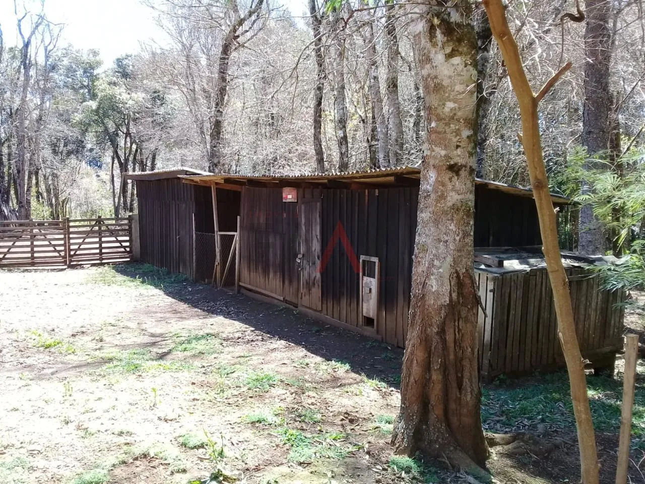 Imagem Chácara à venda, Guairacá, GUARAPUAVA - PR