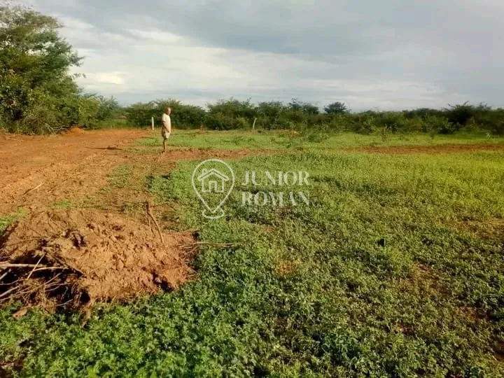 Imagem FAZENDA - 91,5 HECTARES - CRISTOPOLIS/BA