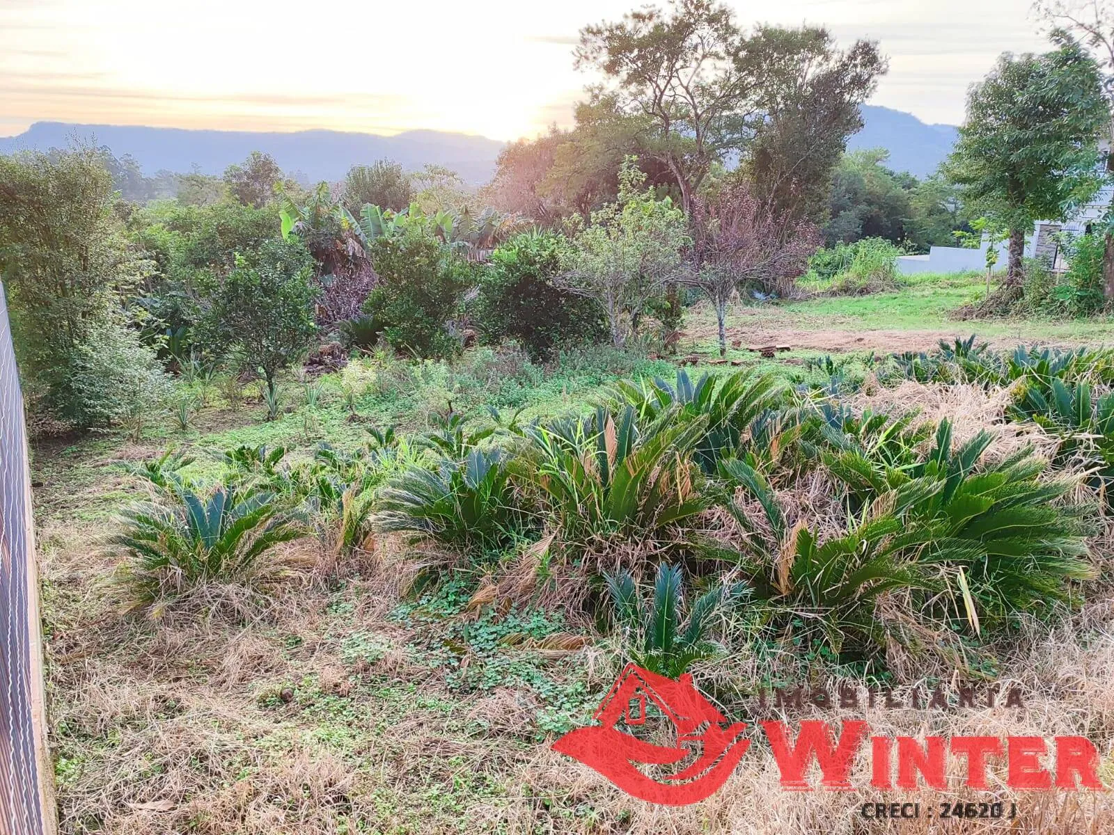 Imagem Terreno de 450,00m² no bairro Matiel, Feliz,.