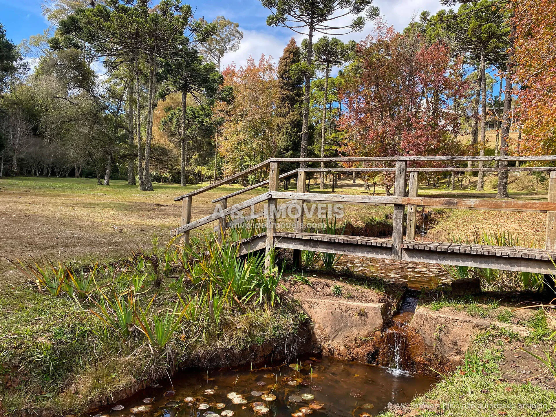 Imagem Lote à venda no Reserva Figueiredo em Campos do Jordão | 1.146,58 m²