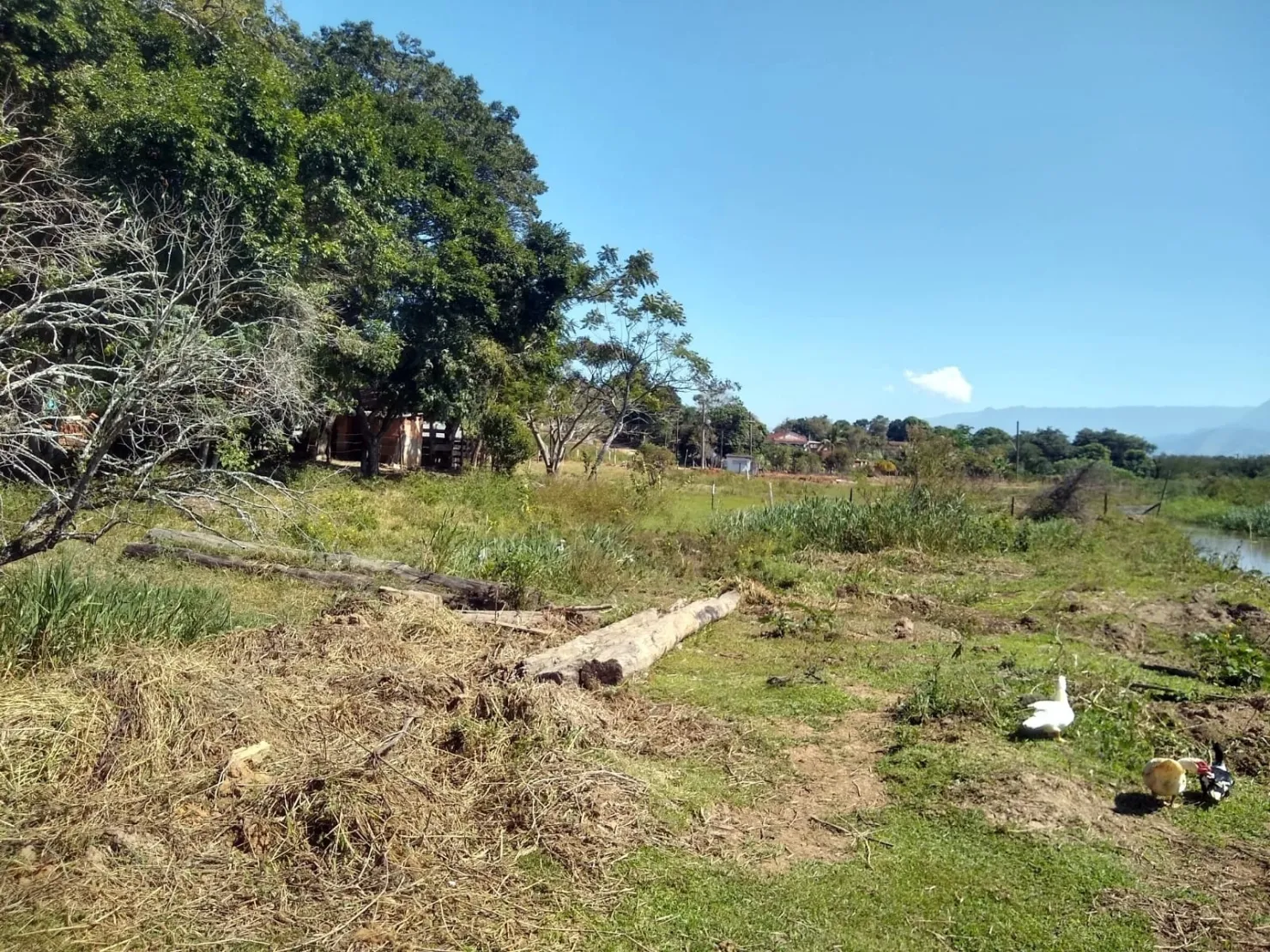 Imagem Chácara à venda, Bosque dos Ipês, Guaratinguetá, SP