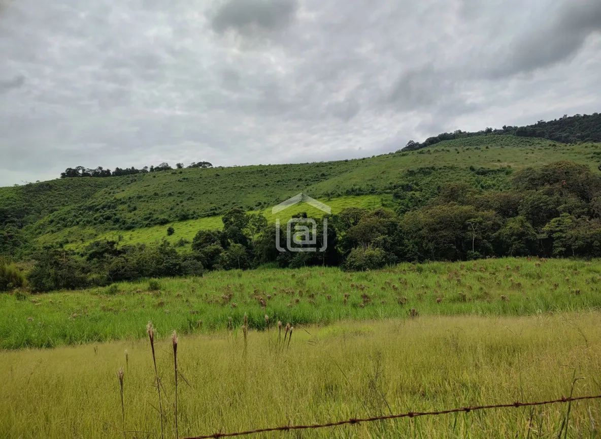 Imagem Fazenda 0,03 ha à venda em Zona Rural, Poços de Caldas
