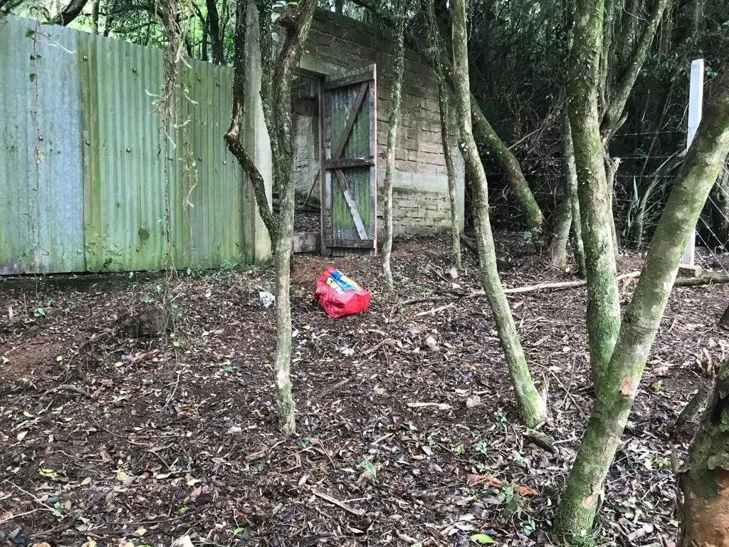Imagem Terreno em Belém Velho