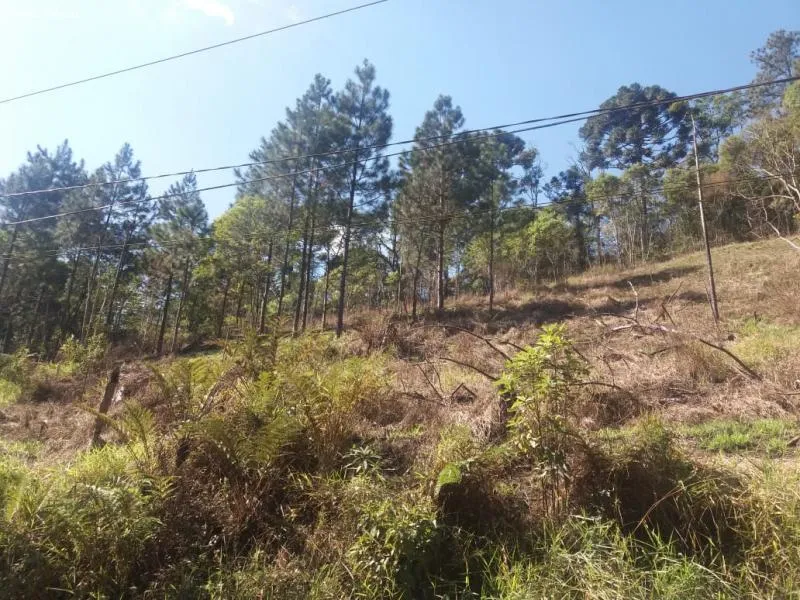 Imagem Área para Venda em Ribeirão Pires, Ouro Fino Paulista