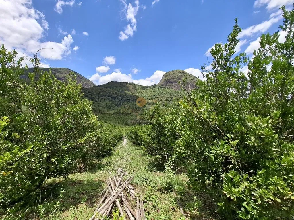 Imagem Sítio para Venda em Teresópolis / RJ no bairro Santa Rita