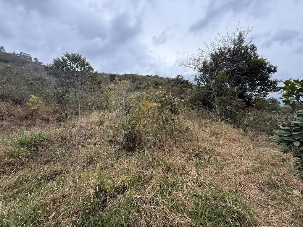 Imagem Terreno para Venda em Teresópolis / RJ no bairro Albuquerque