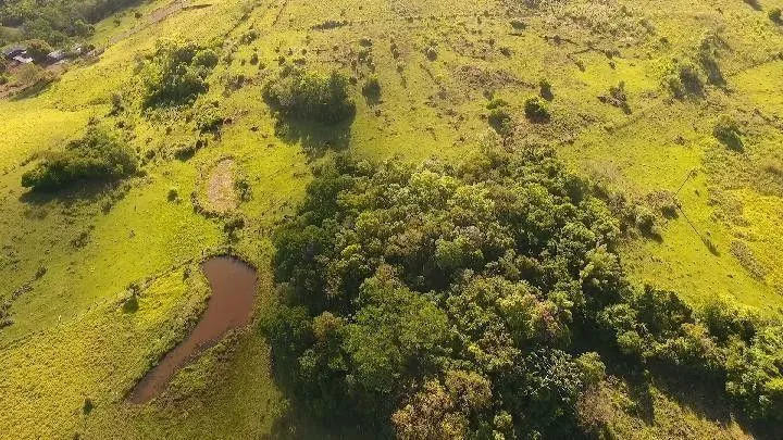 Imagem Chácara para Venda em Santo Antônio da Patrulha / RS no bairro Roça Grande