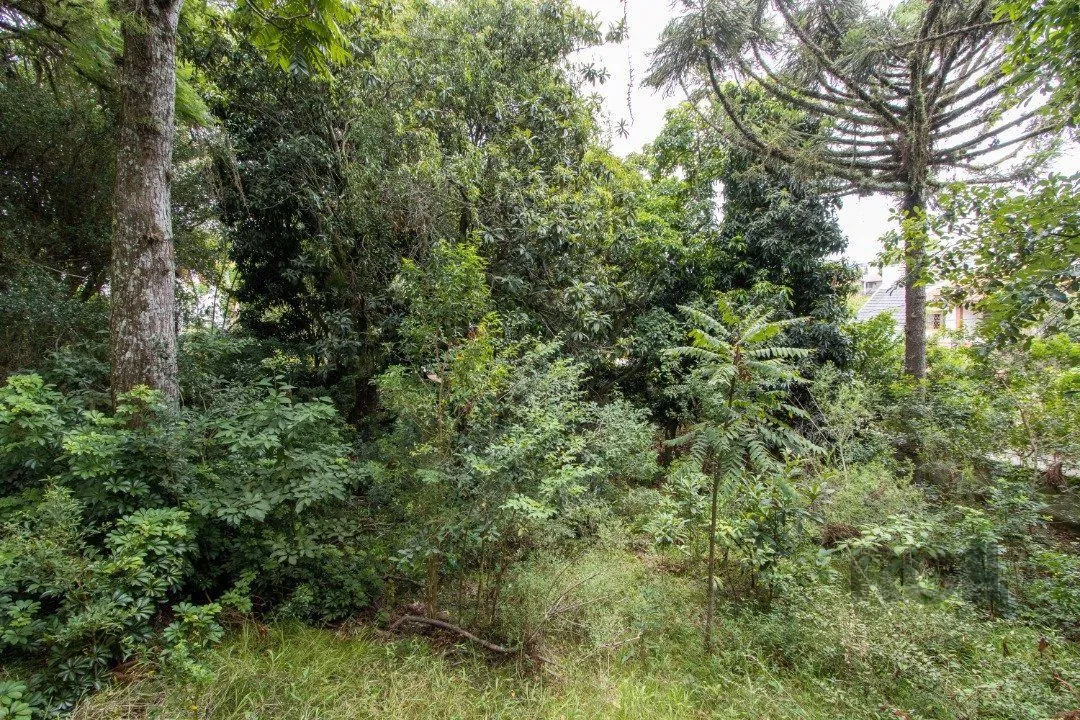 Imagem Terreno, 363.78 m², em Vila Conceição, em região elevada e livre de inundações
