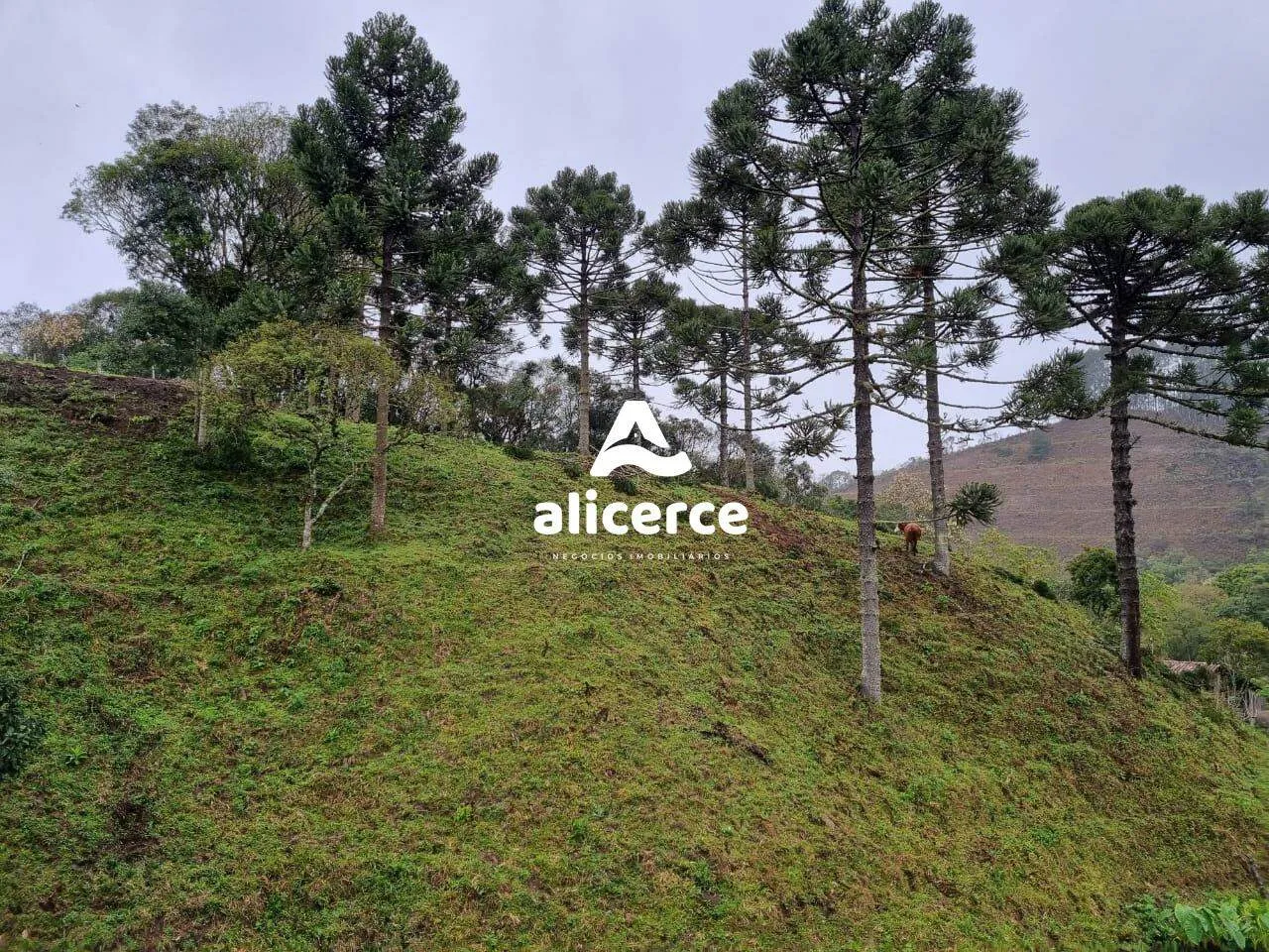 Imagem Terreno à venda com , 30.000m² em Vargedo Rancho Queimado
