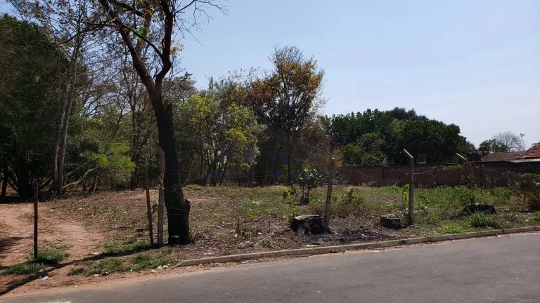 Imagem Terreno Padrão