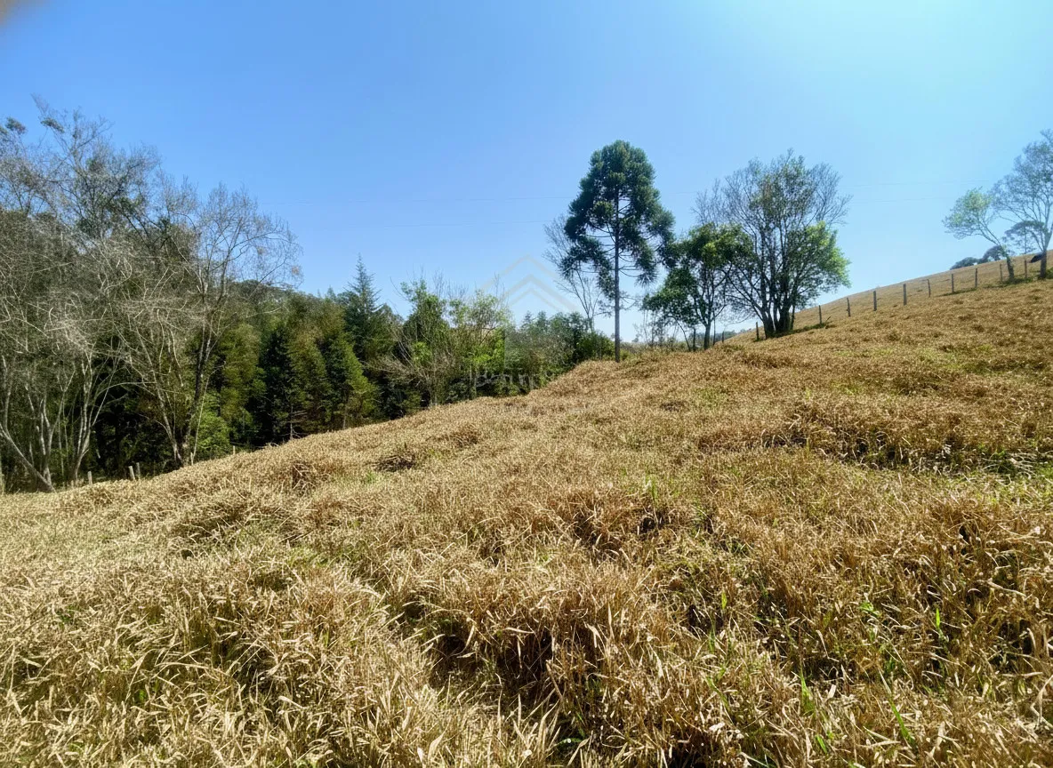 Imagem Sítio 2,42 ha à venda em Correias, Bandeira do Sul