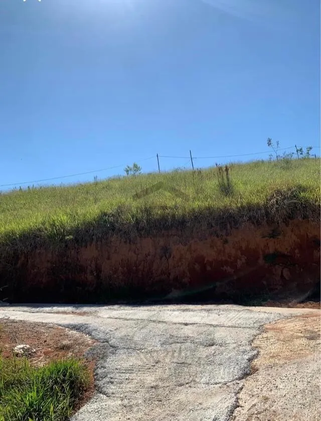 Imagem Chácara 692 m² à venda em Rio Pardo, Bandeira do Sul