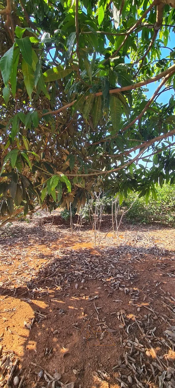Imagem Chácara à venda em Cesário Lange-SP, bairro Campininha: 2 quartos, 1 sala, 1 banheiro, 1 vaga, 150m². Aproveite!