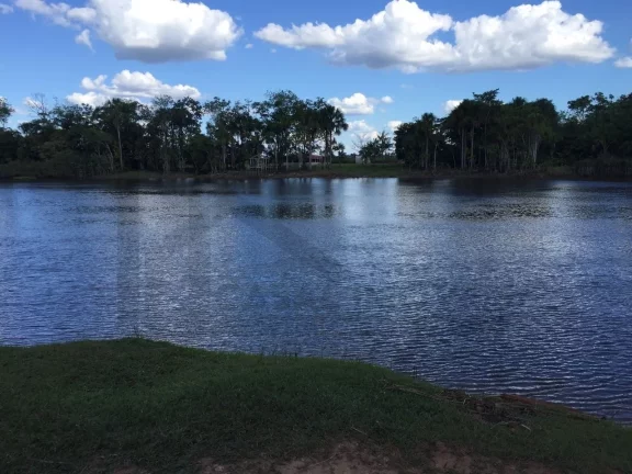 Foto do imóvel CASAL IMÓVEIS VENDE FAZENDA SÃO DOMINGOS DO CAPIM 400 HECTARES