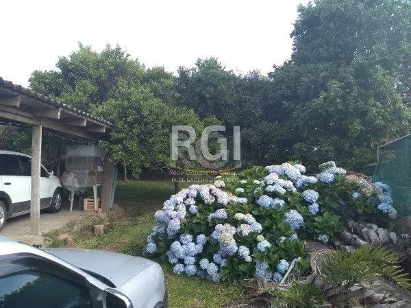 Imagem Terreno Amplo com 625m² - Venda- Mário Quintana - Porto Alegre