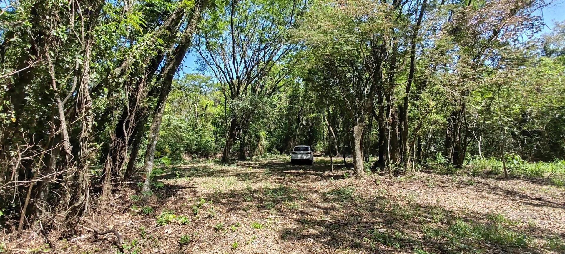 Imagem Chácara a venda em Cascavel, com 2,0992 hectare cada uma e matrícula indiviauais.