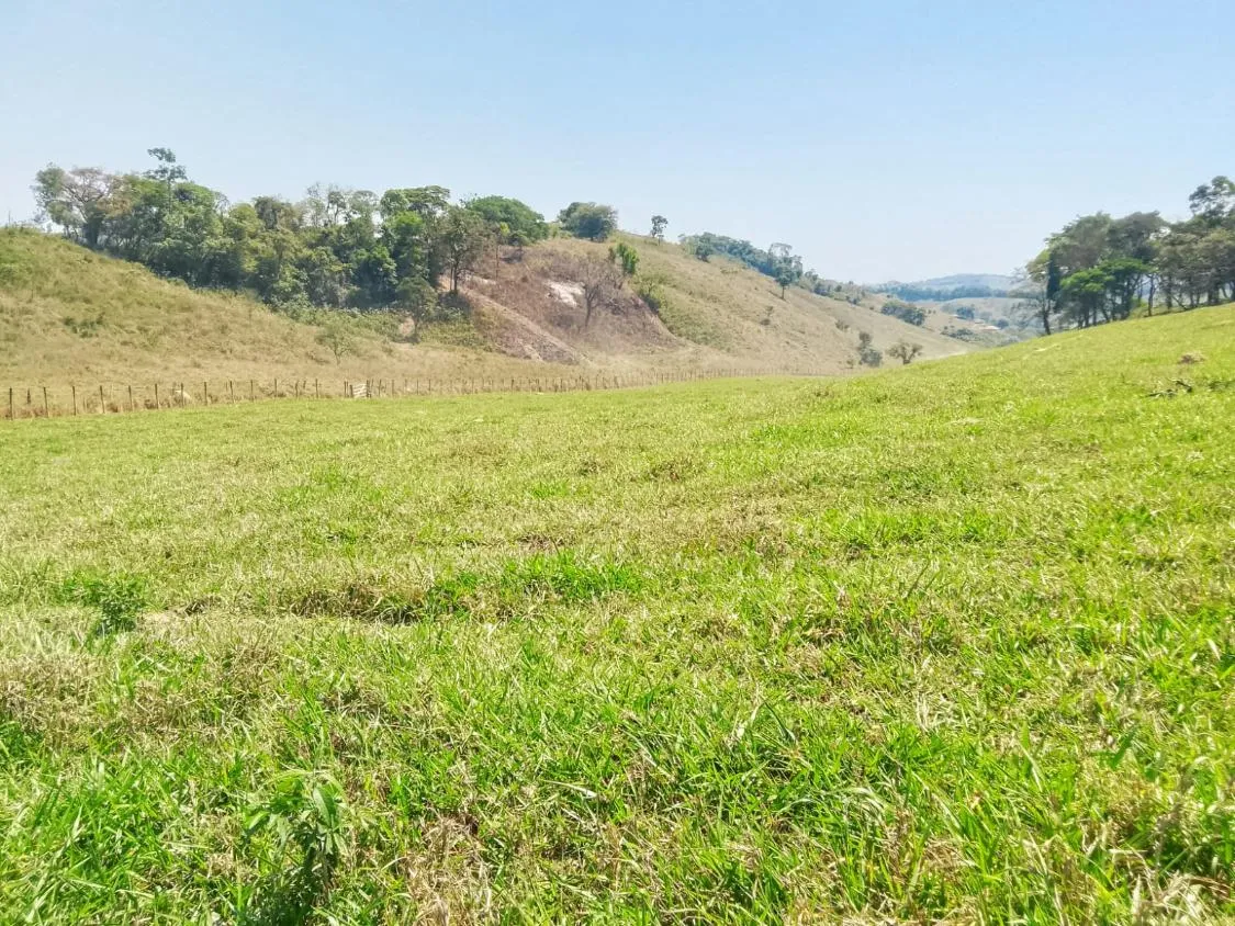 Imagem TERRENO À VENDA EM RIO MANSO/MG | 11,7 HECTARES