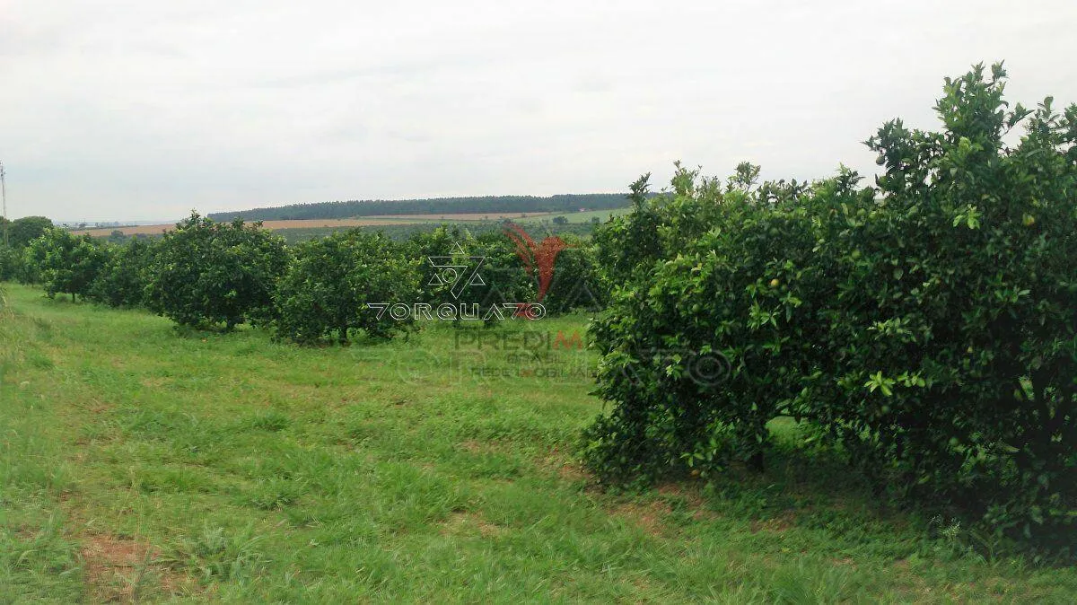 Imagem Área Rural em Conchal: Você Pode Morar no Interior com Muito Conforto!