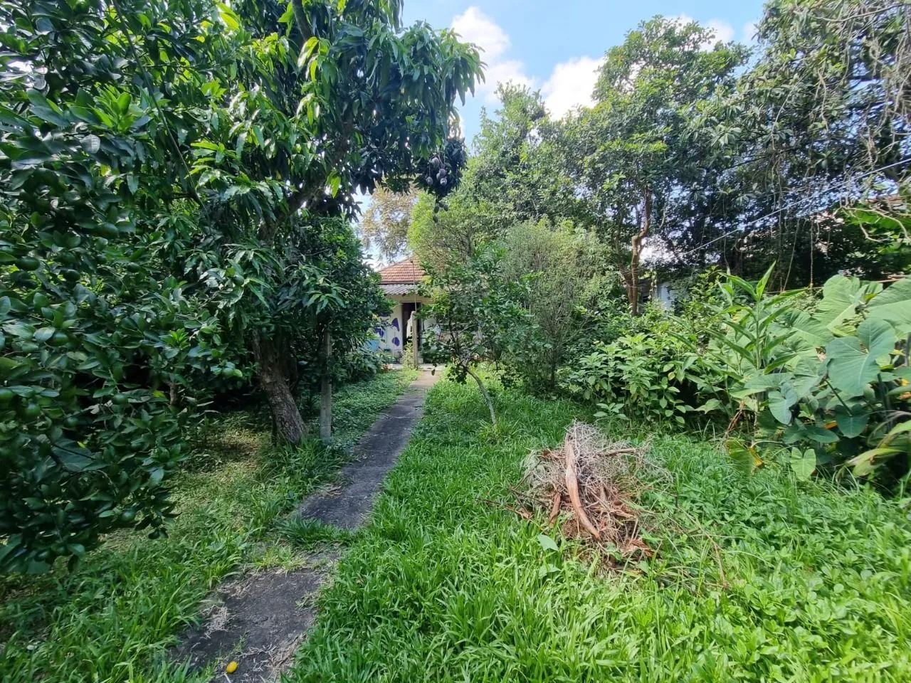 Imagem Terreno Plano 435m² Ipanema Proximo Guaíba