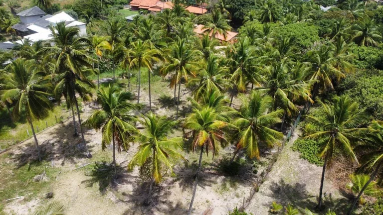 Imagem TERRENO EXCLUSIVO BEIRA MAR - CASSANGE