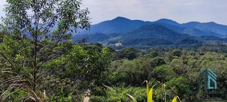 Imagem Área 331.540 mil m², Serra Negra município de Guaraqueçaba - PR (PERMUTA EM CURITIBA PR)