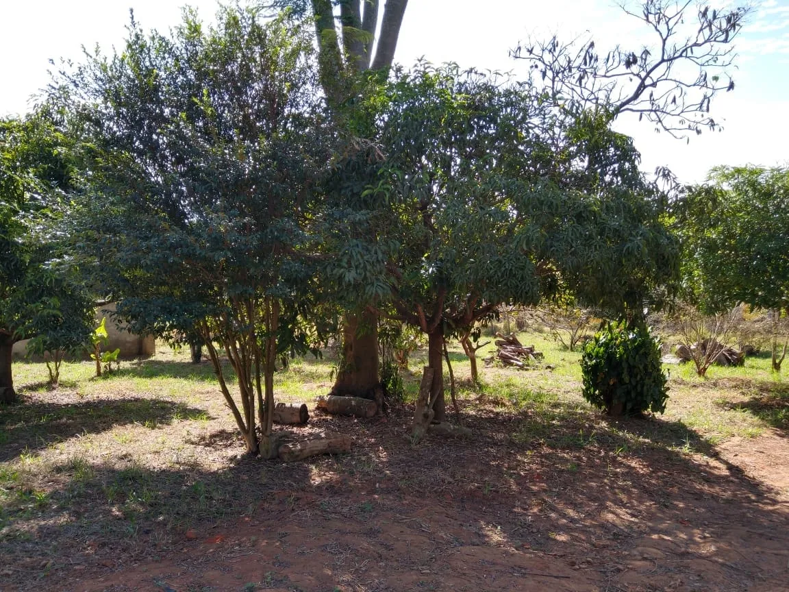 Foto do imóvel Chácara à venda 3 Quartos, 1 Suite, 10 Vagas, 2000M², Goiabal, Pindamonhangaba - SP