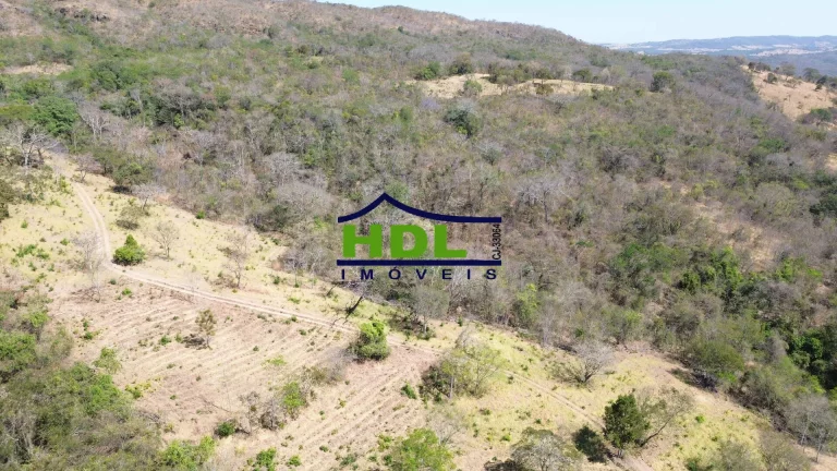 Imagem Fazenda 19 Alqs para Cria em Hidrolândia/GO