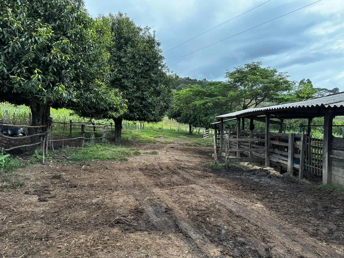 Imagem Vendo um ótimo terreno com 13 hectares de área total , em Crucilândia / MG