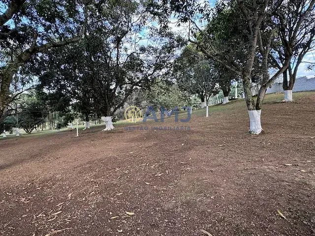 Imagem Área à venda, 21010 m² por R$ 1.450.000,00 - Chácara São Pedro - Aparecida de Goiânia/GO