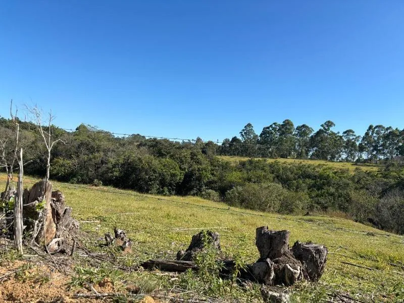 Imagem FAZENDA À VENDA - DESTERRO DE ENTRE RIOS (MG) 51 hectares de área total