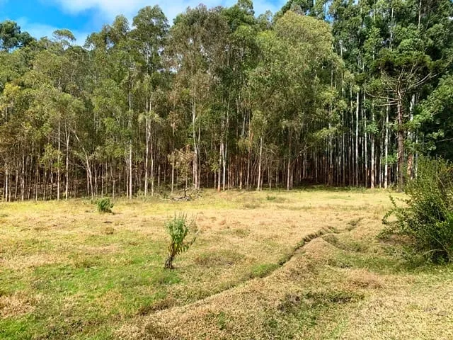 Imagem Chácara à venda 20000M², Aparição, Cunha - SP