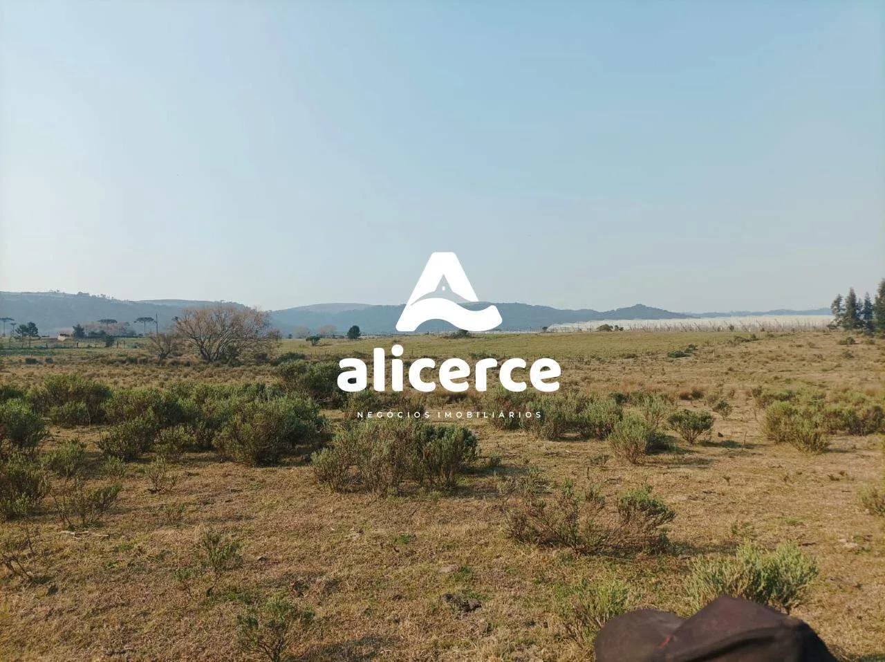 Imagem Fazenda Produtiva à Venda em São Joaquim/SC | 3.200 Macieiras | Araucárias | Lago | Nascente | Exclusividade Imobiliária Alicerce
