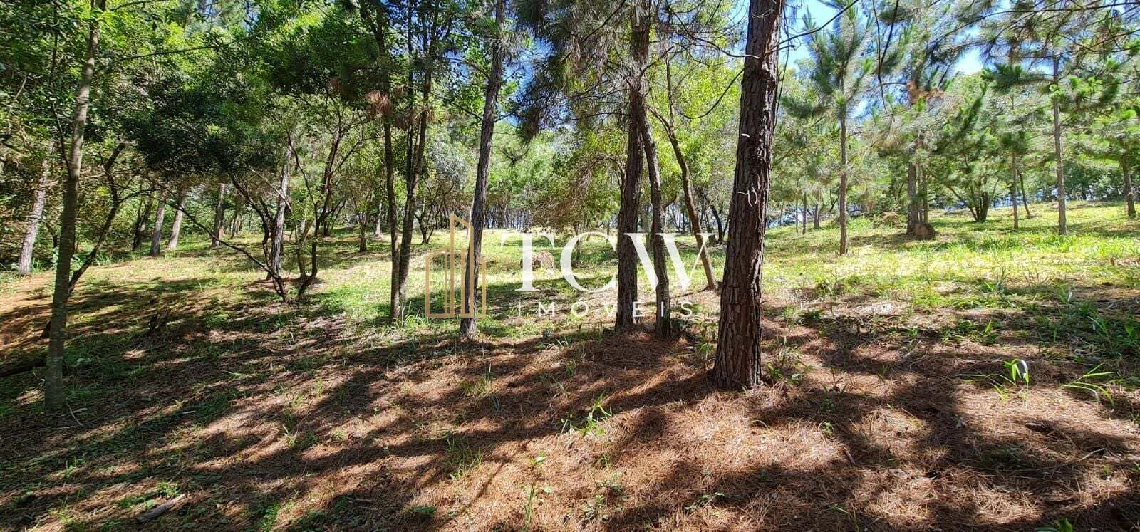 Imagem Terreno em Loteamento | 20.000m2 | ATIBAIA/SP