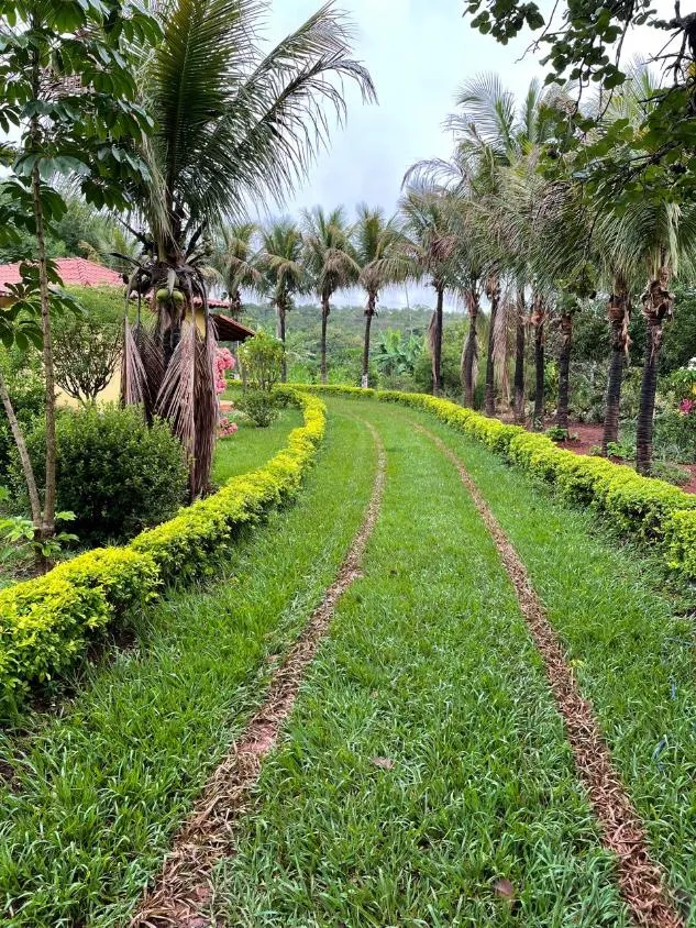 Imagem Excelente Terreno à Venda em Jaboticatubas/MG: 17 Hectares Próximo à Serra do Cipó
