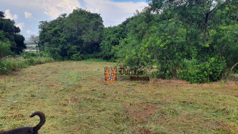 Imagem Área à venda, 40000 m² por R$ 1.300.000,00 - Caetetuba - Atibaia/SP