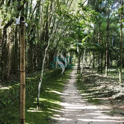 Imagem Terreno à Venda em Condomínio no Horto Florestal - Ubatuba/SP