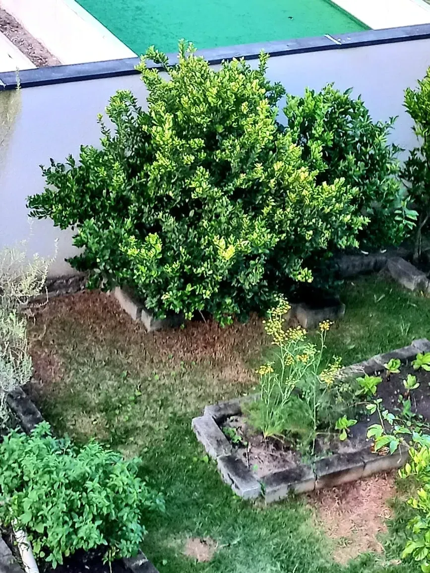 Imagem Casa de Condomínio com 3 Quartos à Venda, 550 m² em Cidade Parquelandia - Mogi das Cruzes